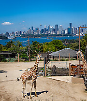 Australija 2023-132