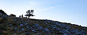 Kornati 9-2024 -23
