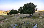 Kornati 9-2024 -29