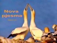 Nova pjesma (Stjepan Lice) – pps 