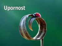 Upornost – Lincoln pps