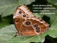 Misli Propovjednika sina Davidova – pps