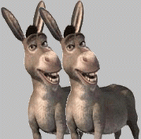 dva-magarca-ilustracija