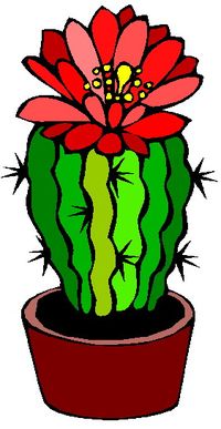kaktus-ilustracija-clipart
