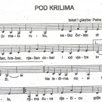 Pod krilima (pjesma)