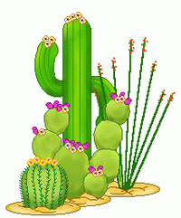 pustinja-kaktus