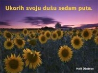 Sedam ukora – pps