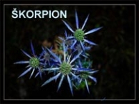 Škorpion – poučna priča pps