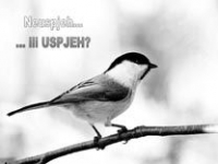 Uspjeh – neuspjeh pps
