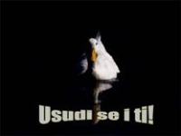Usudi se – pps