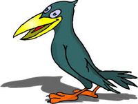 vrana-ilustracija