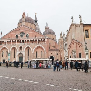 padova0019